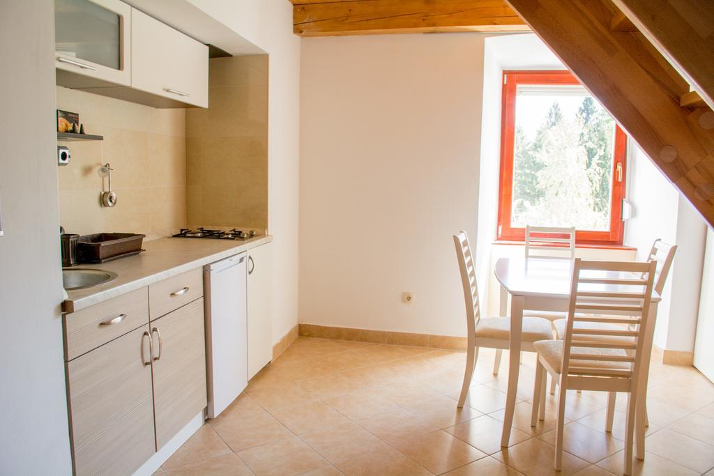 Apartment Gasa Брежице Экстерьер фото